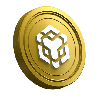 Cryptomonnaie BNB présentée sur la page du guide pour un trader novice